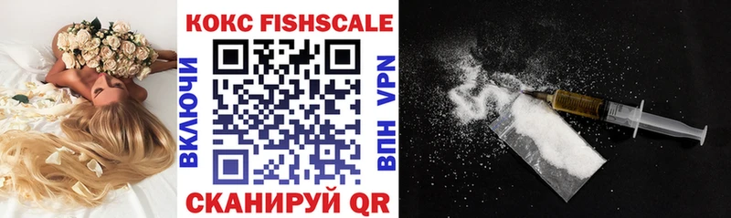 Cocaine FishScale  Купить  Николаевск-на-Амуре 